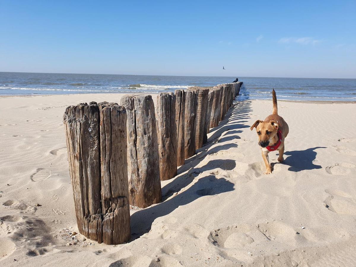 Vakantiehuis Bonnies & Duinnest
